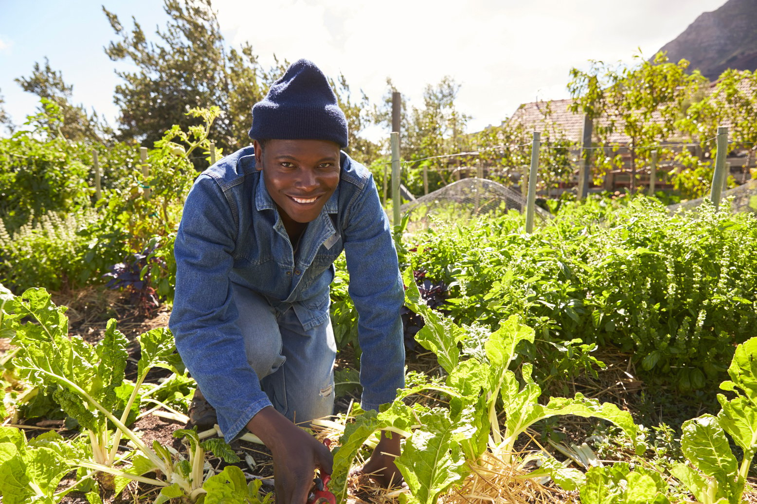 Portrait of Gardener Working